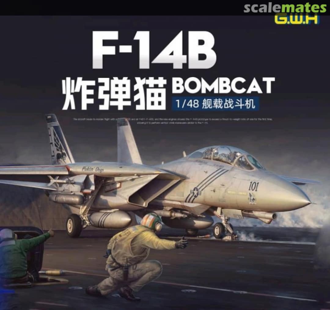 Boxart F-14B  L4833 Great Wall Hobby