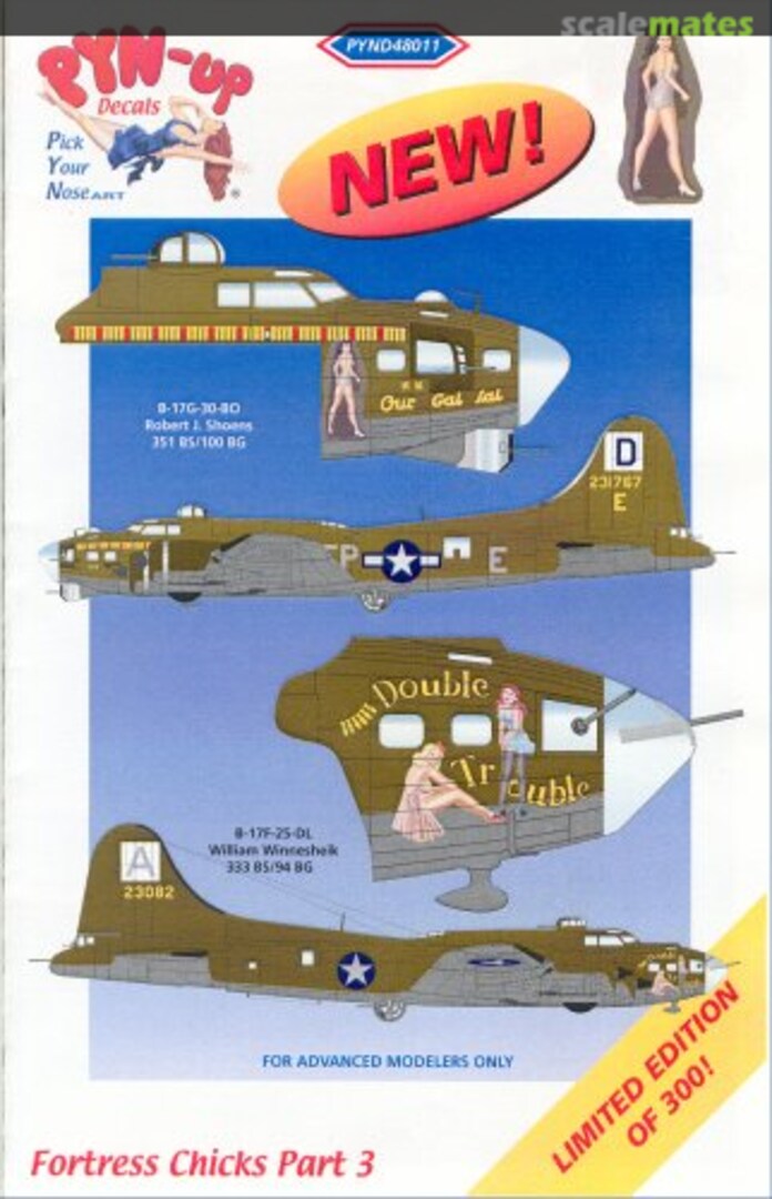 Boxart Fortress Chicks Part 3 PYND48011 Pyn-Up Decals