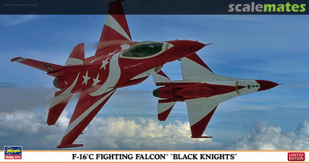 Boxart F-16C Fighting Falcon `Black Knights´ 07395 Hasegawa