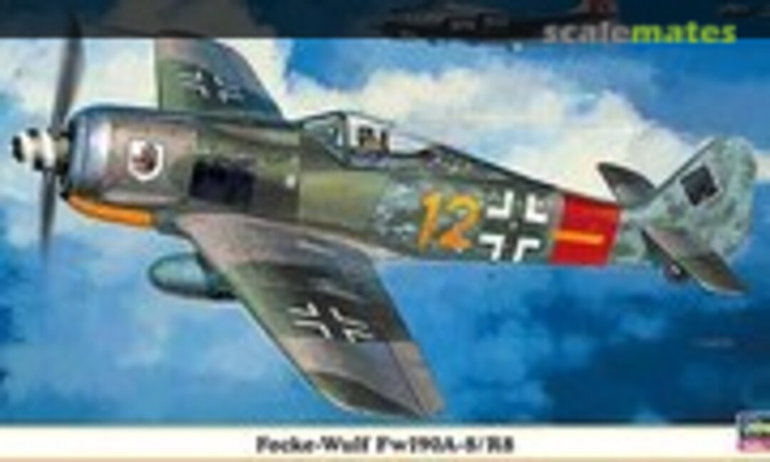 1:48 Focke-Wulf Fw190A-8/R8 (Hasegawa 09841)