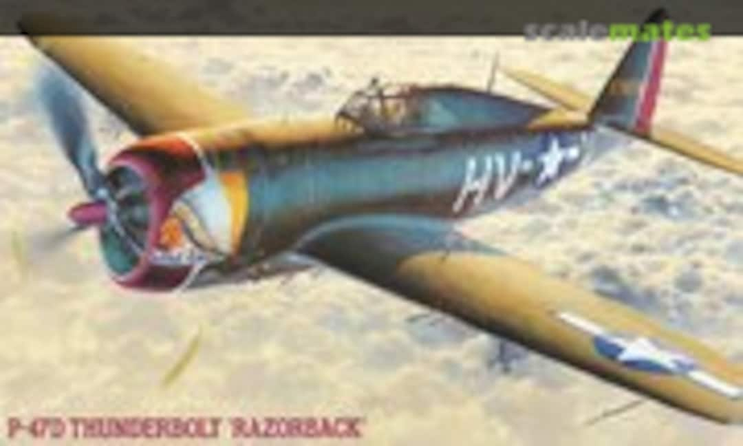 1:48 P-47D Thunderbolt 'Razorback' (Hasegawa 09057)