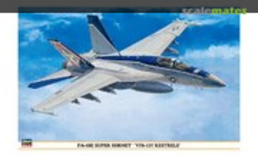 1:48 F/A-18E Super Hornet `VFA-137 Kestrels´ (Hasegawa 09842)