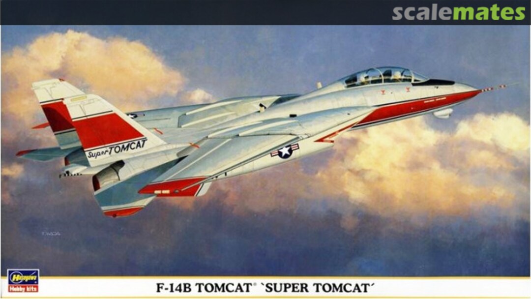 Boxart F-14B Tomcat `Super Tomcat´ 00898 Hasegawa