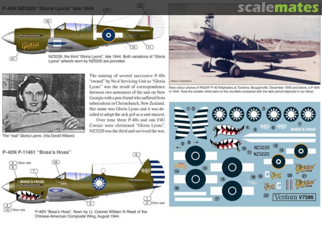 Boxart RNZAF P-40N Gloria Lyons + American/Chinese P-40N V7286 Ventura