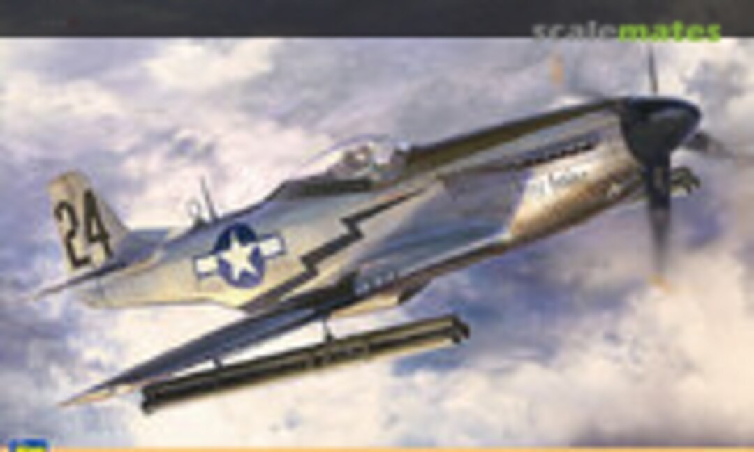 1:32 P-51D Mustang w/Rocket Tubes (Hasegawa 08244)