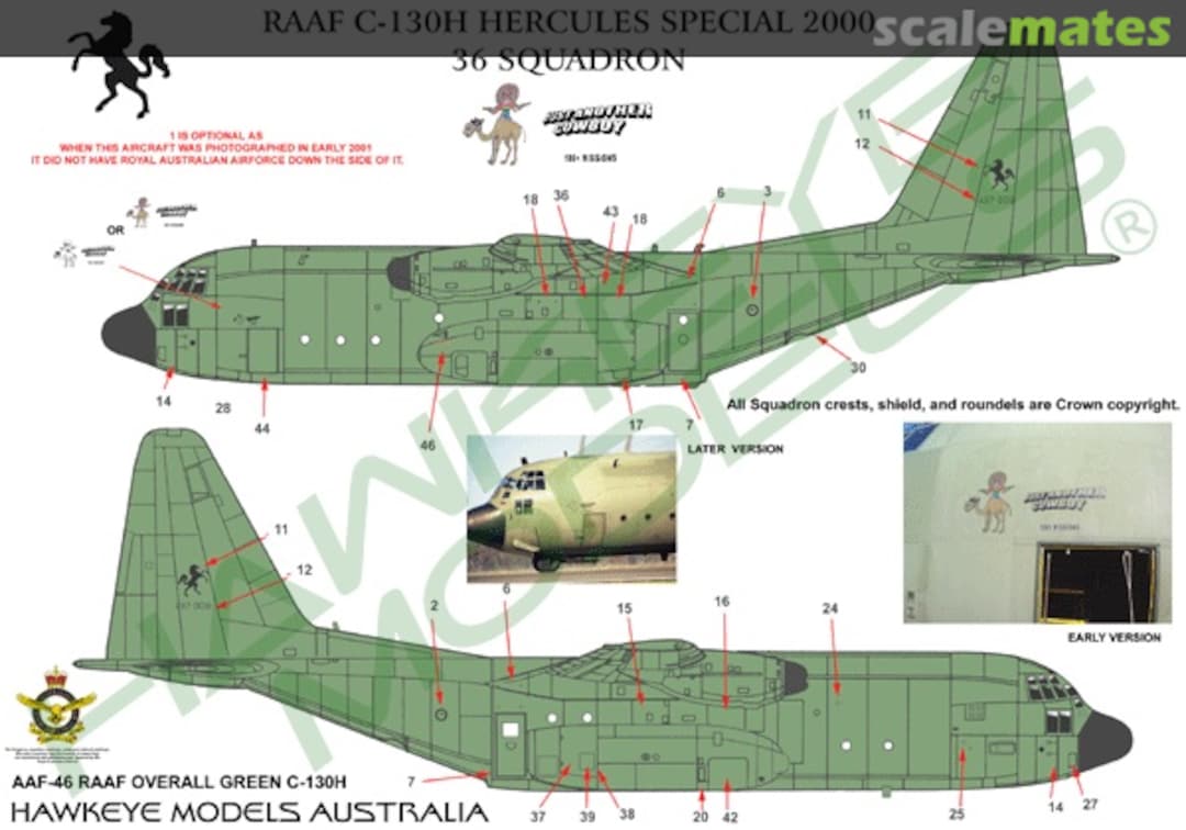 Boxart RAAF C-130H, A97-009, 36 Sqn. Single green scheme 2000 AAF-046 Hawkeye Models