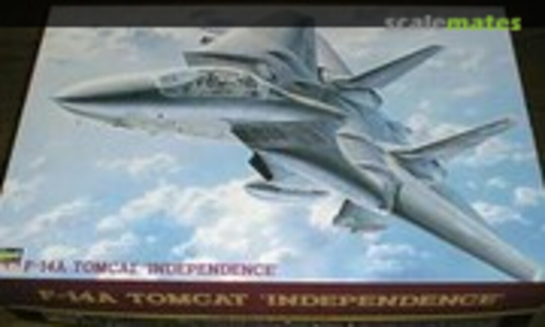 1:48 F-14A Tomcat `Independence´ (Hasegawa 51582)