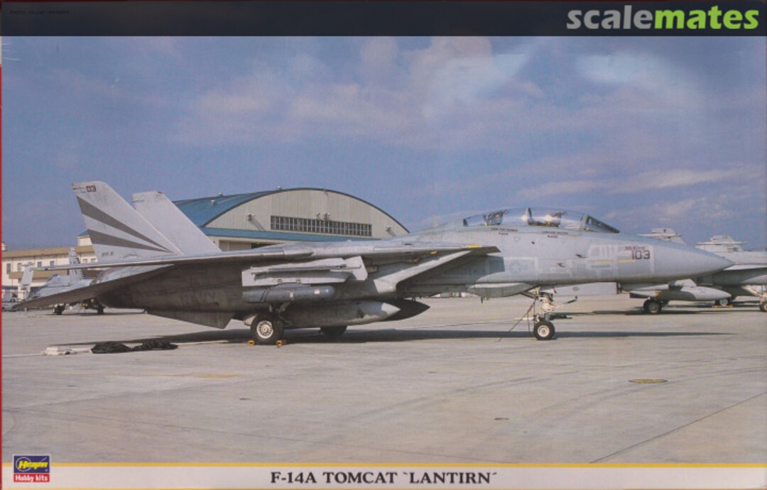 Boxart F-14A Tomcat `LANTIRN´ 09329 Hasegawa