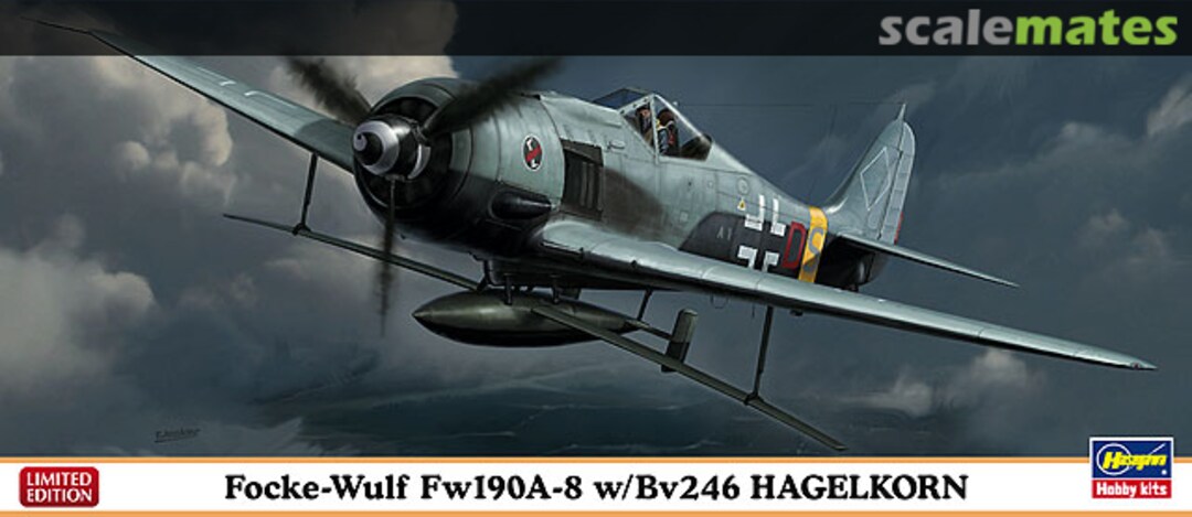 Boxart Focke-Wulf Fw190A-8 w/Bv246 Hagelkorn 01984 Hasegawa