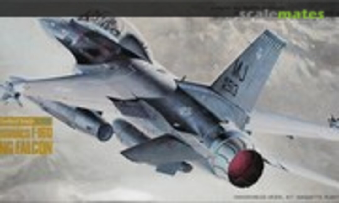 1:72 F-16D Fighting Falcon (Hasegawa 815)