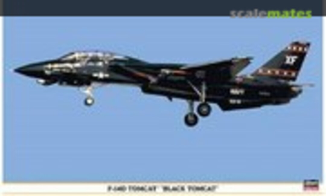 1:48 F-14D Tomcat `Black Tomcat´ (Hasegawa 09867)