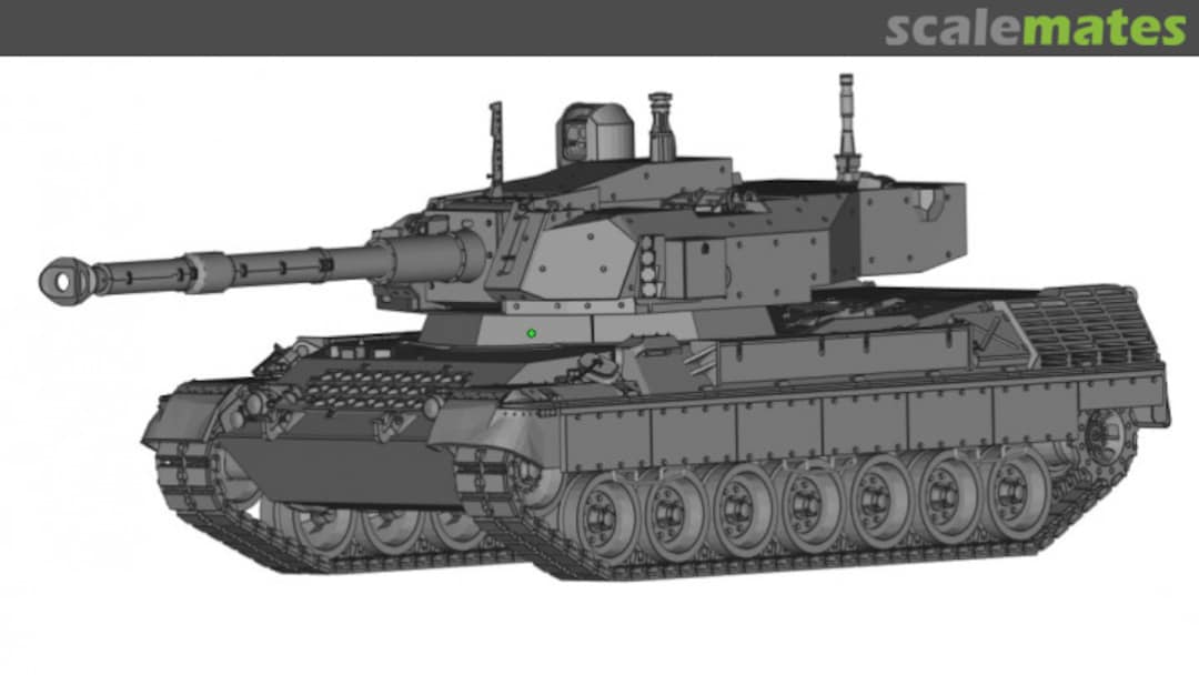 Boxart Leopard 1-C3105  Model N N号模型