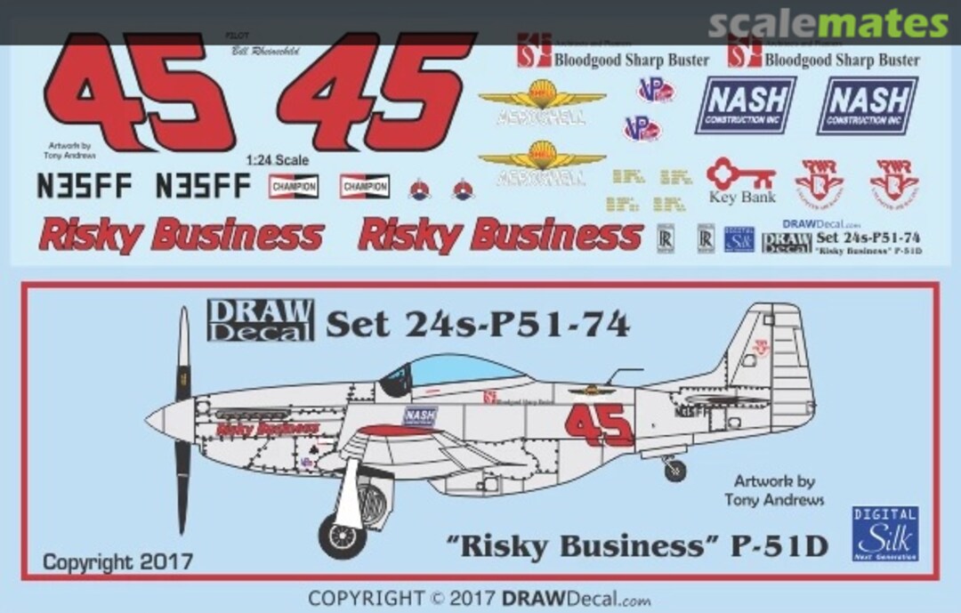 Boxart “Risky Business” P-51D 24-P51-74 Draw Decal