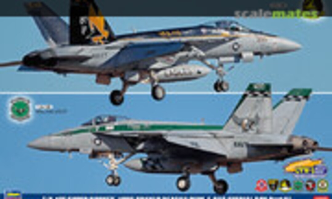 1:72 F/A-18E Super Hornet &quot;USS Reagan CVW-5 CAG Special Box 2&quot; (Hasegawa 52143)