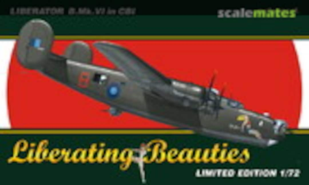 1:72 Liberating Beauties (Eduard 2110)