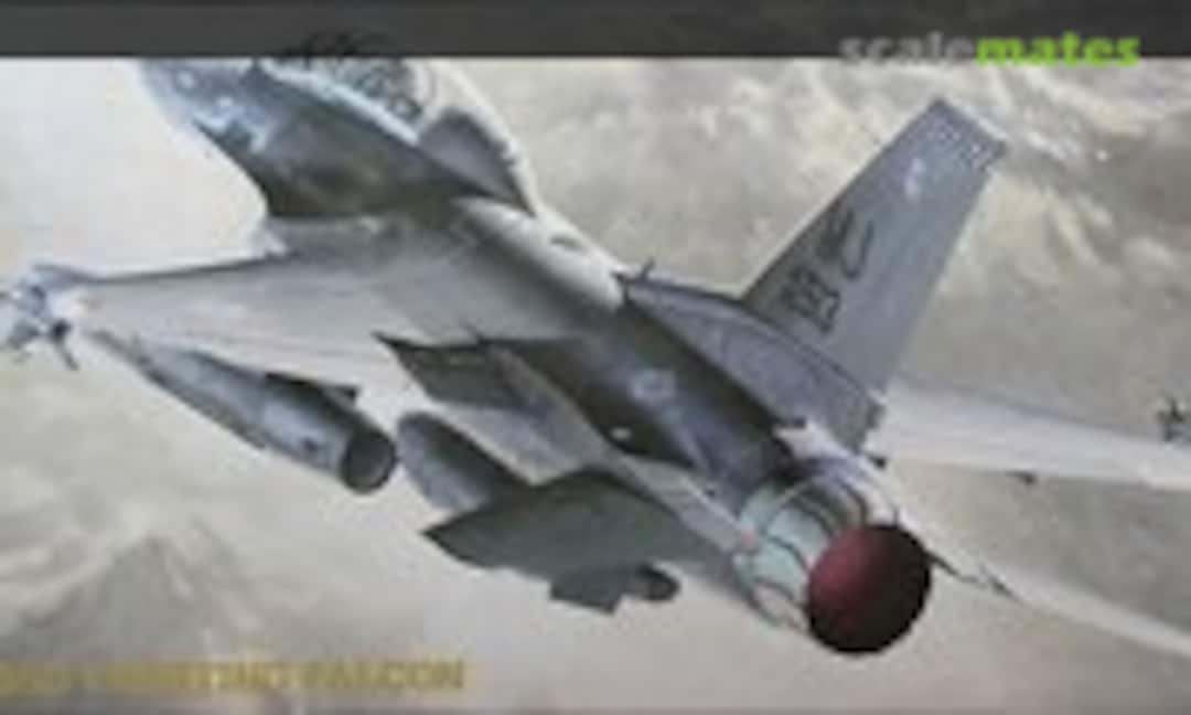 1:72 F-16D Fighting Falcon (Hasegawa 02815)