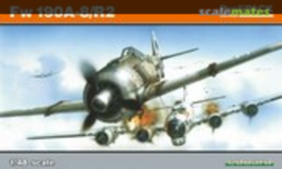 1:48 Fw 190A-8/R2 (Eduard 8175)