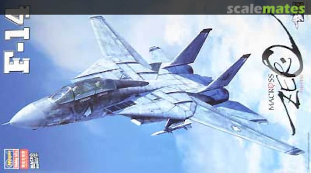 Boxart F-14 65761 Hasegawa