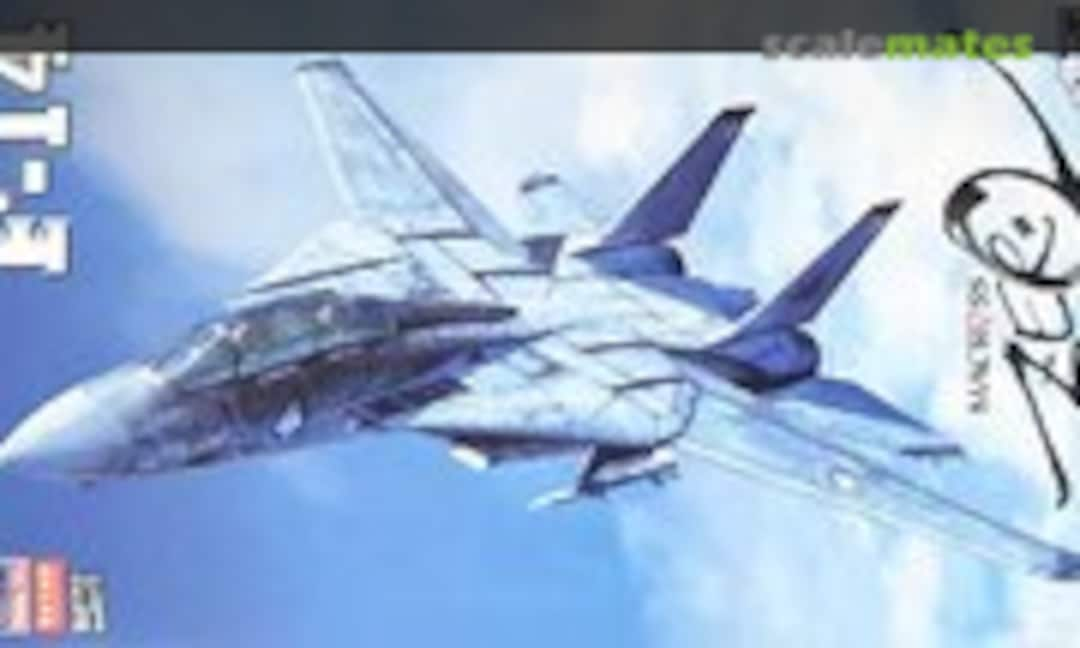 1:72 F-14 (Hasegawa 65761)