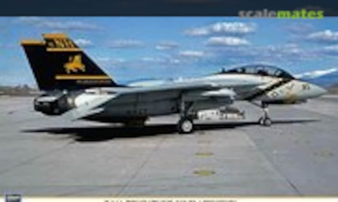 1:48 F-14A Tomcat `VF-213 Blacklions´ (Hasegawa 09814)