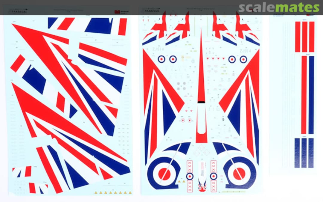 Contents 'Blackjack' RAF 2021 Display Eurofighter Typhoon X48225 Xtradecal