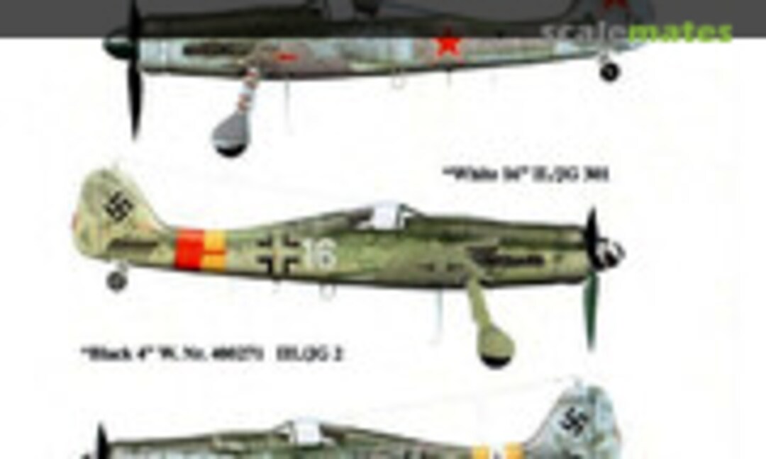 1:48 Fw 190 Doras (Eagle Editions EagleCals EC48-125)