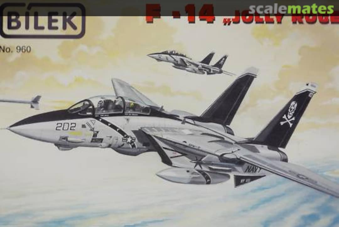 Boxart F-14 "Jolly Roger" 960 Bilek