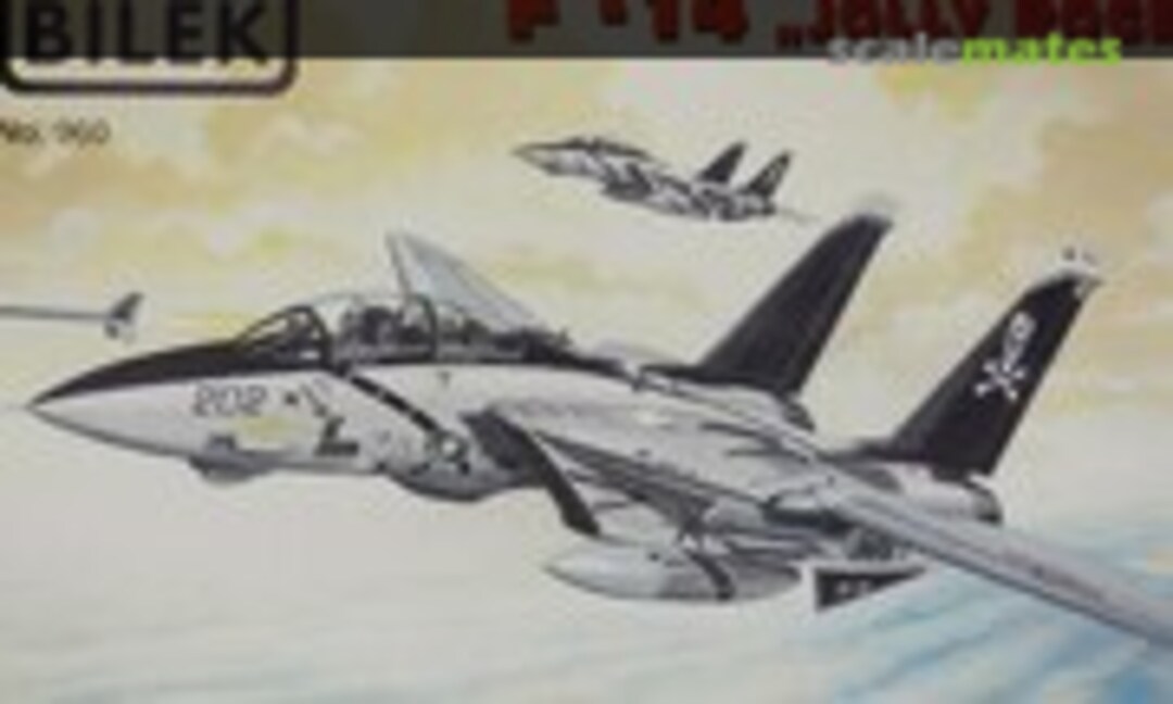 1:72 F-14 &quot;Jolly Roger&quot; (Bilek 960)