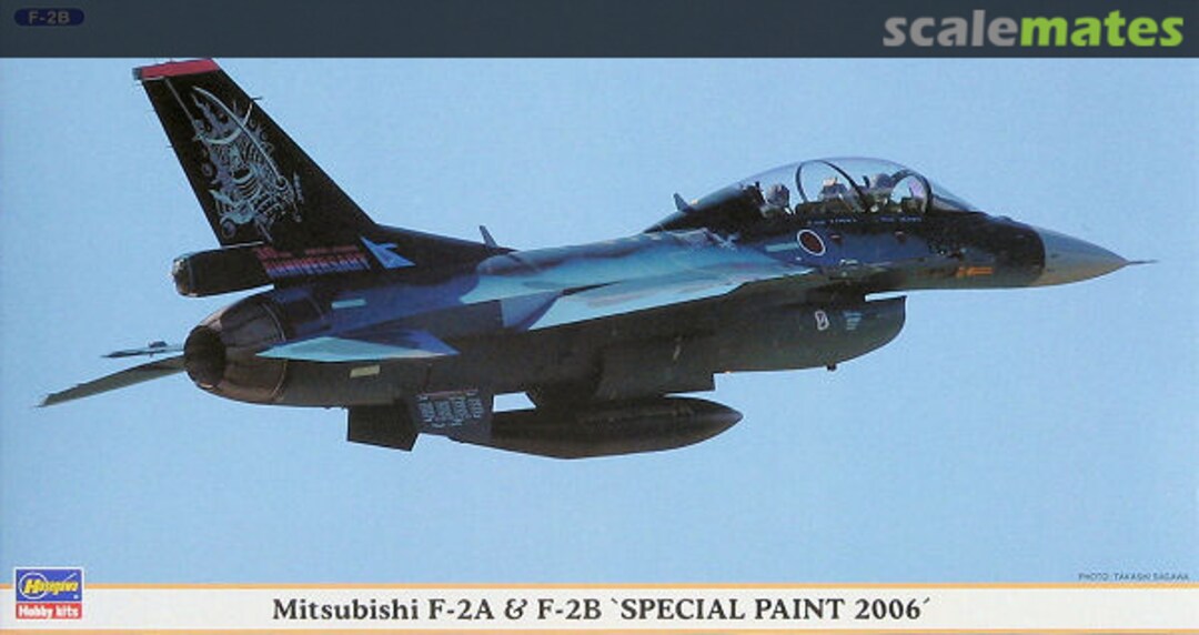 Boxart Mitsubishi F-2A & F-2B `Special Paint 2006´ 00842 Hasegawa