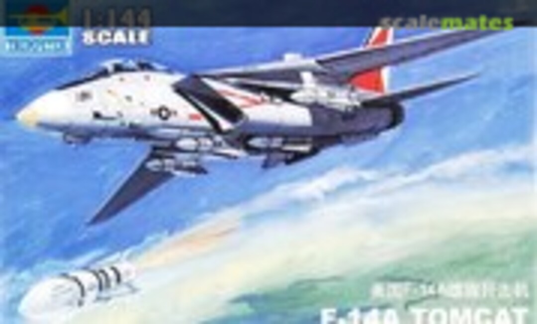 1:144 F-14A Tomcat (Trumpeter 01308)