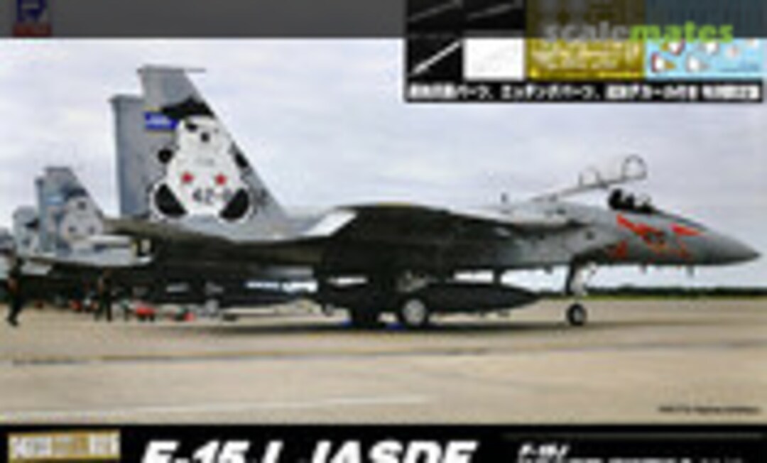 1:48 F-15J JASDF - Air Combat Meet 2013 (Pit-Road SNG03DX)