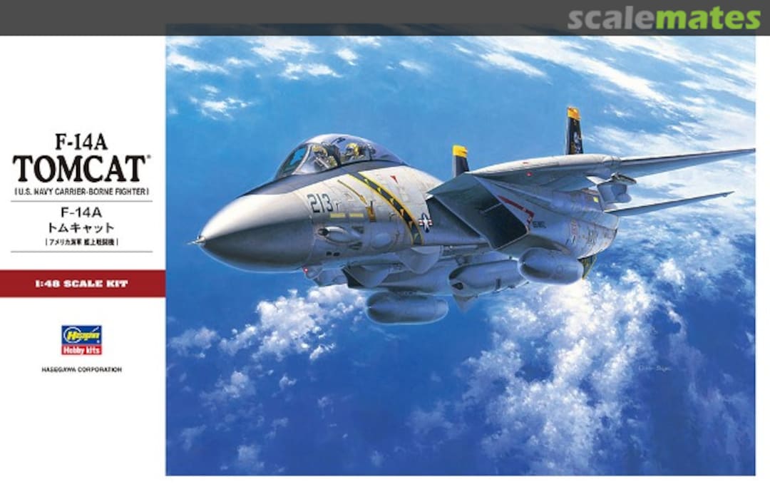 Boxart F-14A Tomcat 07246 Hasegawa