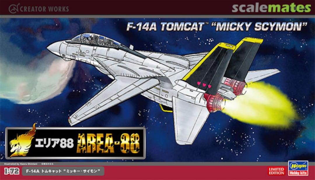 Boxart F-14A Tomcat "Micky Scymon" 64755 Hasegawa