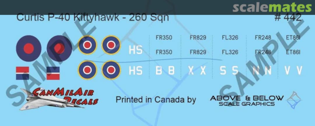 Boxart Curtiss P-40 Kittyhawk 442 Above & Below Graphics