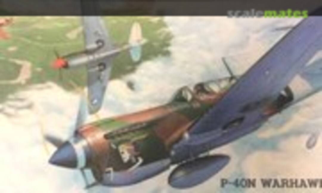 1:72 P-40N Warhawk (Hasegawa 02510)