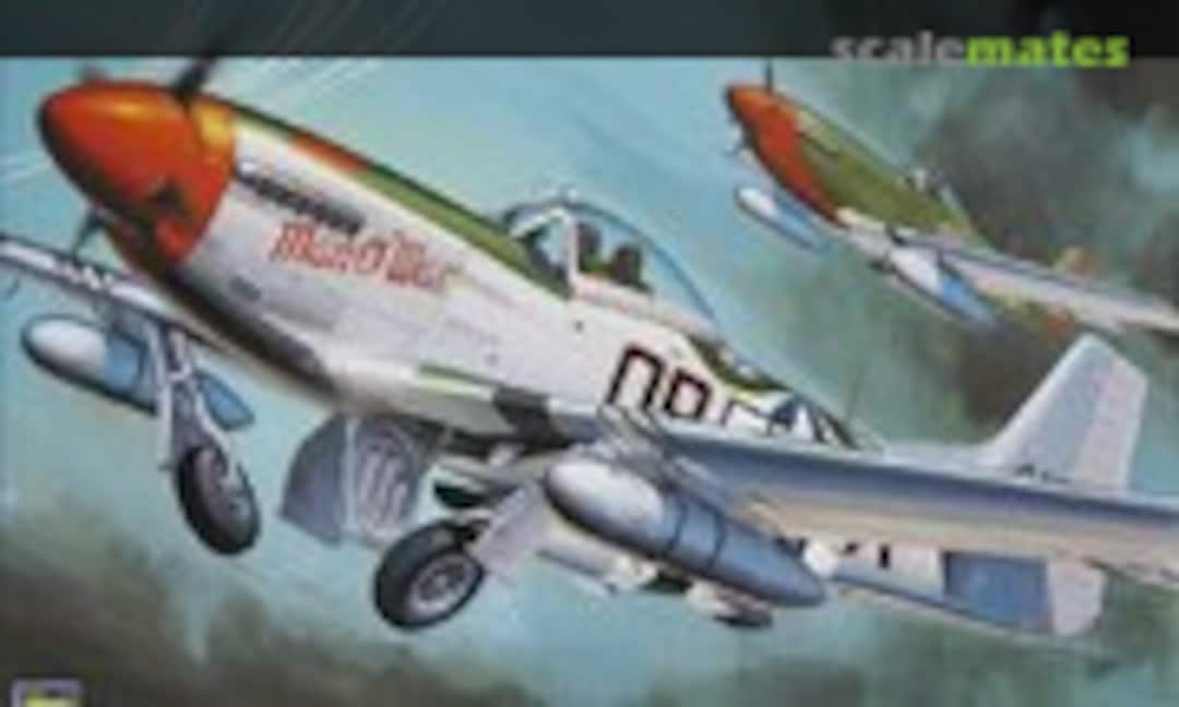 1:32 P-51D Mustang (Hasegawa 08055)