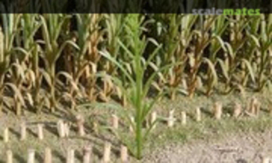 1:32 Maize Corn Plants Brown (Juweela 23288)