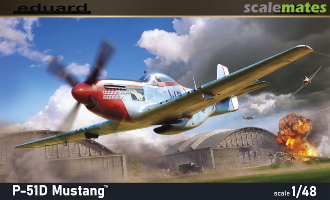 Boxart P-51D Mustang 82102 Eduard