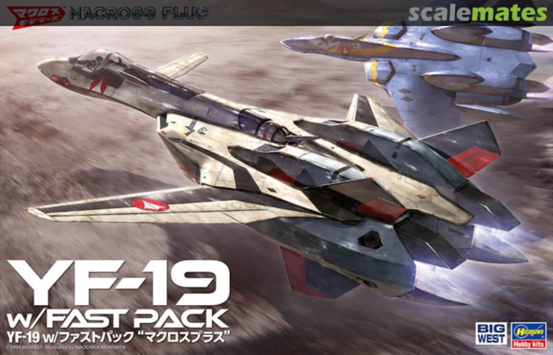 Boxart YF-19 w/FAST PACK 65888 Hasegawa