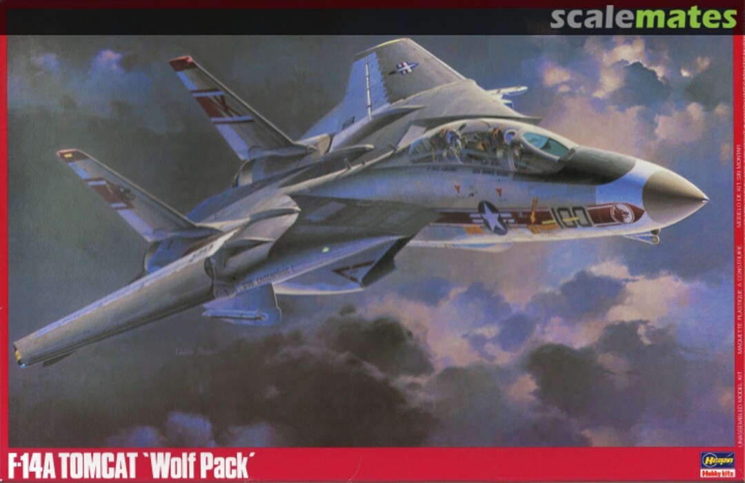 Boxart F-14A Tomcat `Wolf Pack´ P20 Hasegawa