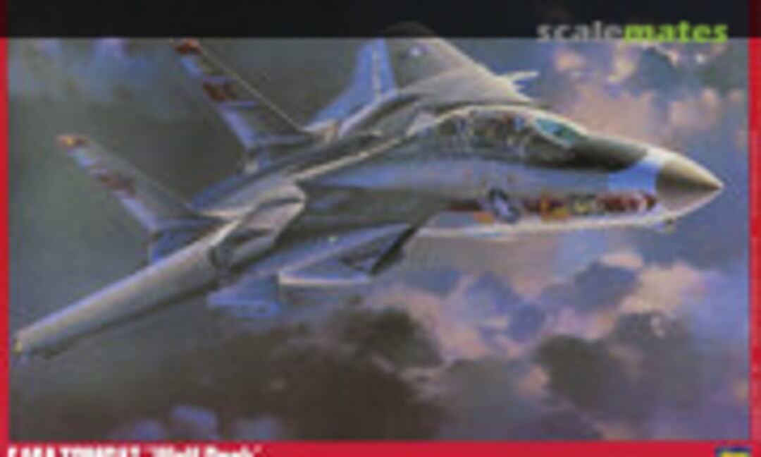 1:48 F-14A Tomcat `Wolf Pack´ (Hasegawa P20)