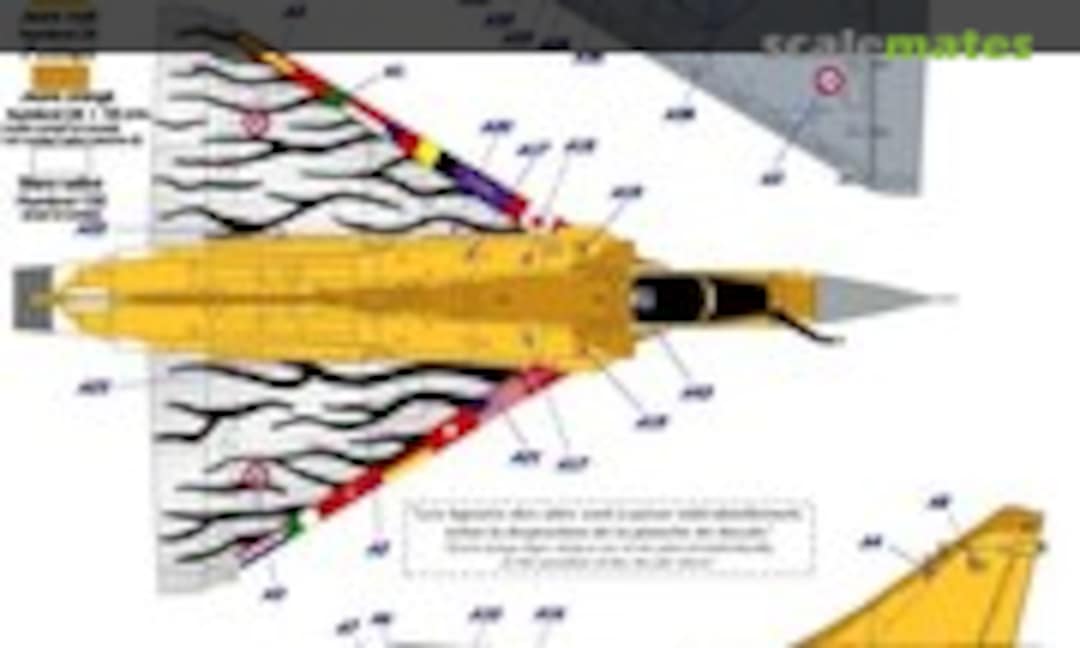 1:48 Dassault Mirage 2000C (Syhart 48-008)