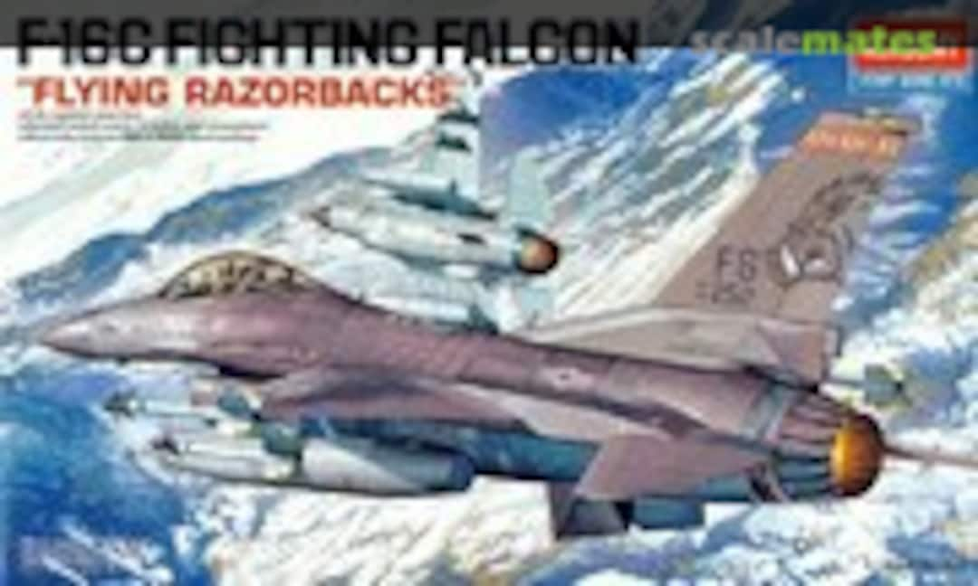 1:48 F-16C Fighting Falcon (Academy 12204)