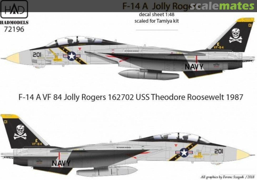 Boxart Grumman F-14A Tomcat 72196 HADmodels 