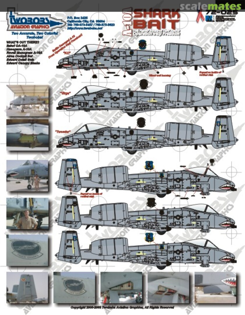 Boxart A-10A 72-025 TwoBobs Aviation Graphics