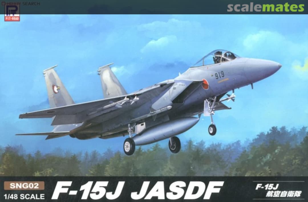 Boxart F-15J JASDF SNG02 Pit-Road