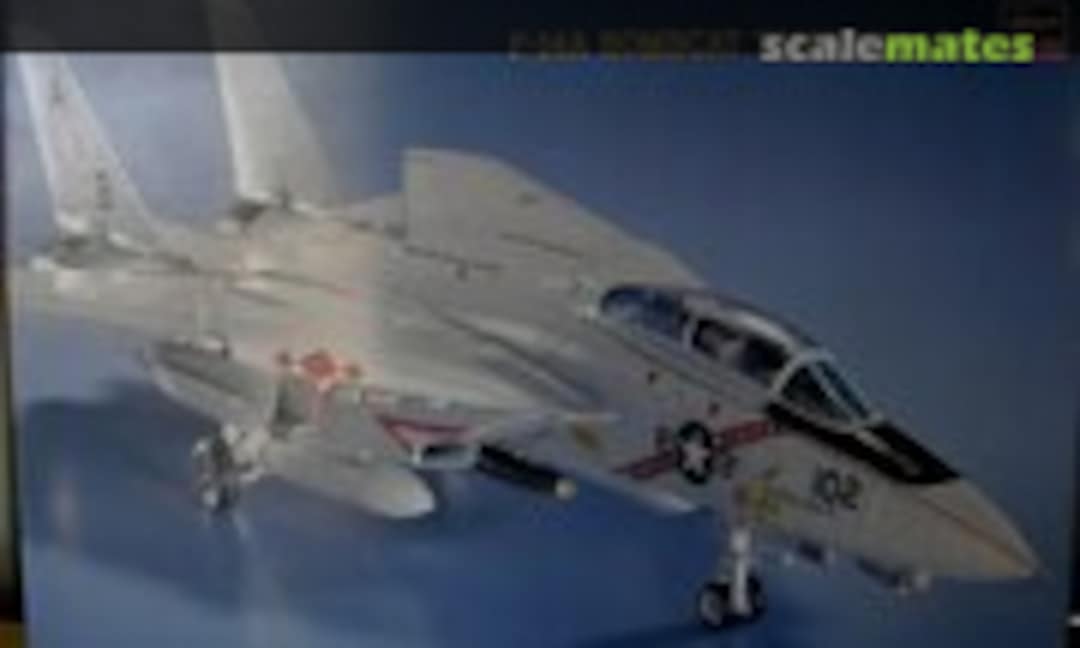 1:48 F-14A Bombcat `Diamondbacks´ (Hasegawa 51622)