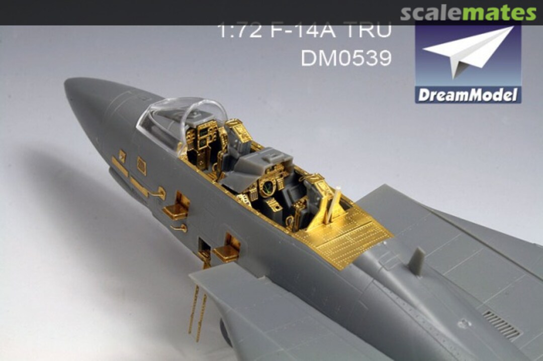 Boxart F-14A Tomcat DM 0539 DreamModel