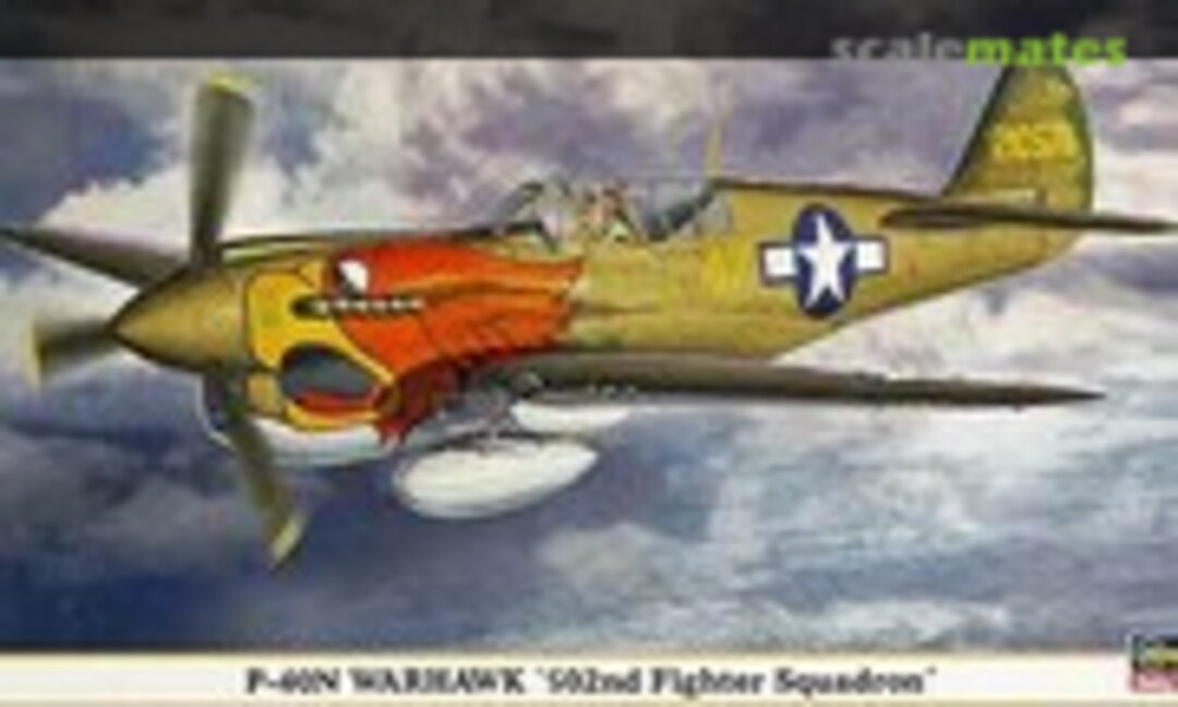 1:48 P-40N Warhawk '502nd Fighter Squadron' (Hasegawa 09769)