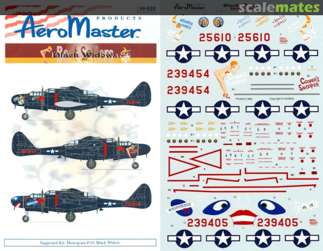 Boxart Black Widows 48-628 AeroMaster